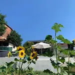 Ca' Degli Ovi