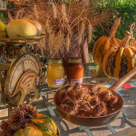 Ca' Degli Ovi Couette-café Valenza