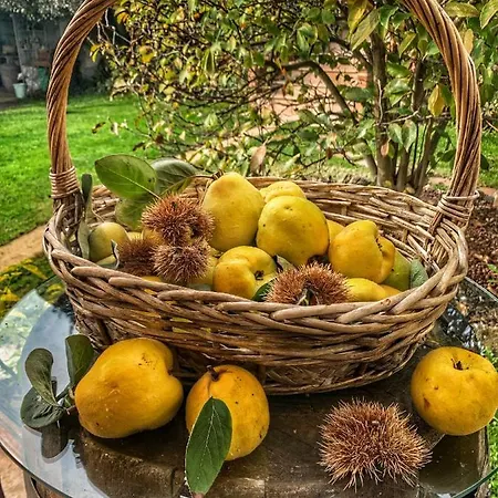 Couette-café Ca' Degli Ovi 3*