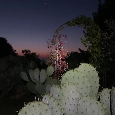 Couette-café Ca' Degli Ovi 3*