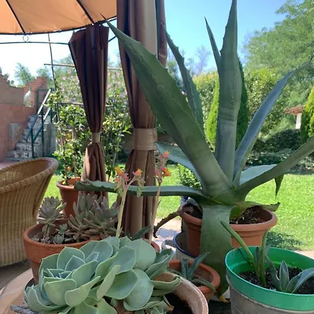 Ca' Degli Ovi Valenza