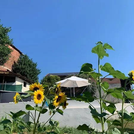 Ca' Degli Ovi