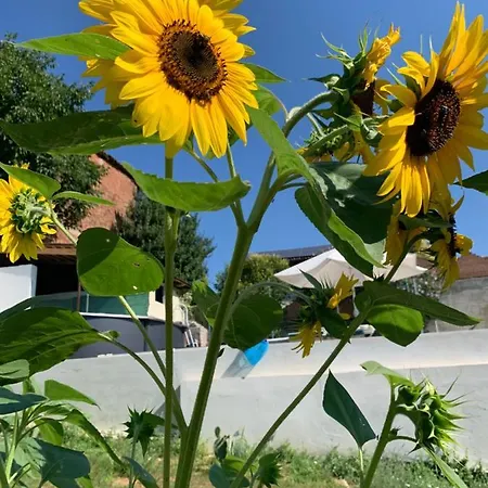 Ca' Degli Ovi Couette-café 3*