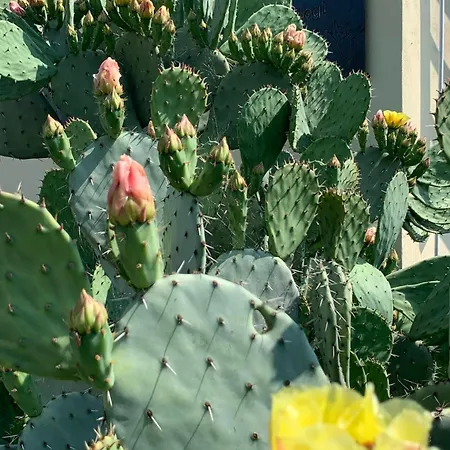 Couette-café Ca' Degli Ovi