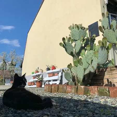 Couette-café Ca' Degli Ovi Valenza