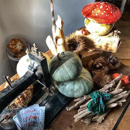 Couette-café Ca' Degli Ovi 3*