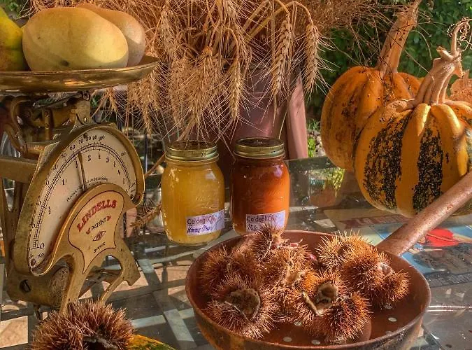 Ca' Degli Ovi Couette-café Valenza
